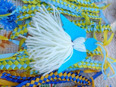 Майже 110 тисяч гривень зібрав для ЗСУ дитячий волонтерський клуб села Галіївка на Житомирщині Майже 110 тисяч гривень зібрав для ЗСУ дитячий волонтерський клуб села Галіївка на Житомирщині