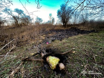На Вінниччині загинула жінка через загоряння сухостою На Вінниччині загинула жінка через загоряння сухостою