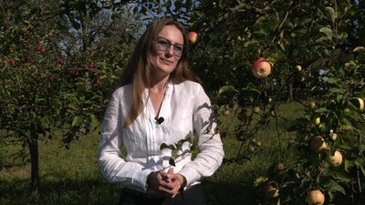 Крилос, хащинська Крилос, хащинська