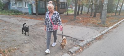 Евакуація люди майно речі допомога благодійний фонд "Крапка відліку" жителька Покровська Ольга Покровськ Донецька область 11 вересня 2024 рік