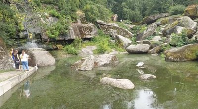 Місце бажань, олені та підземні прогулянки: куди поїхати на вихідні на Черкащині Місце бажань, олені та підземні прогулянки: куди поїхати на вихідні на Черкащині