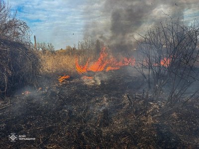 На Черкащині протягом доби вигоріло 10 гектарів сухостою та очерету
