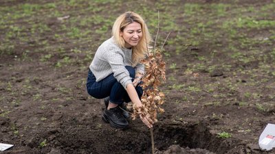 До 80-річчя Херсонської області у Посад-Покровському висадили 80 дубів До 80-річчя Херсонської області у Посад-Покровському висадили 80 дубів