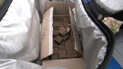 Сказ, лис, вакцинація Сказ, лис, вакцинація