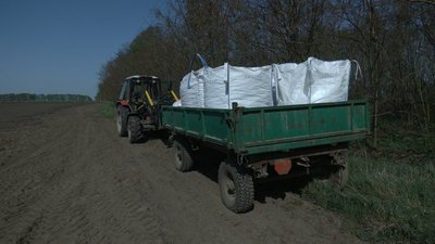 На Чернігівщині розпочали сезон посадки картоплі: яку ціну цьогоріч прогнозують фермери На Чернігівщині розпочали сезон посадки картоплі: яку ціну цьогоріч прогнозують фермери