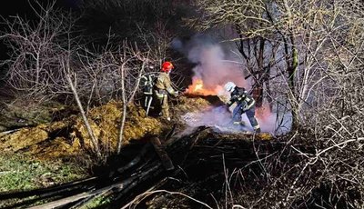 Упродовж 7 лютого на Хмельниччині сталося п'ять пожеж в екосистемах
