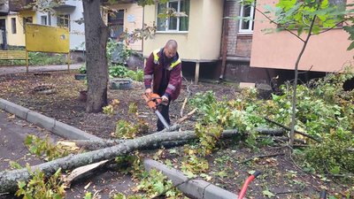 працівники КП «Шляхрембуд» прибирають повалене вітром дерево, 24 вересня 2026 року працівники КП «Шляхрембуд» прибирають повалене вітром дерево, 24 вересня 2026 року