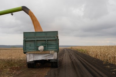 урожай, агроновини, поле