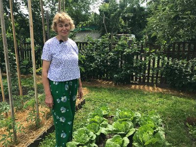 Як доглядати за помідорами у відкритому ґрунті — досвід городниці з Житомира Як доглядати за помідорами у відкритому ґрунті — досвід городниці з Житомира