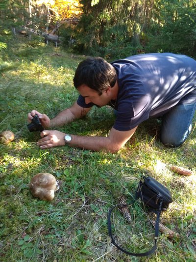 Павло фотографує знайдені гриби Павло фотографує знайдені гриби