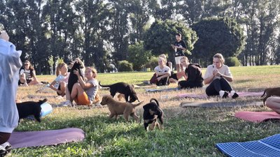 Чотири роки повномасштабної війни на Черкащині у світлинах Суспільного