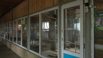 "Любить ходити по стелі": до екопарку у селі Ковалівка біля Полтави привезли нових тварин і птахів