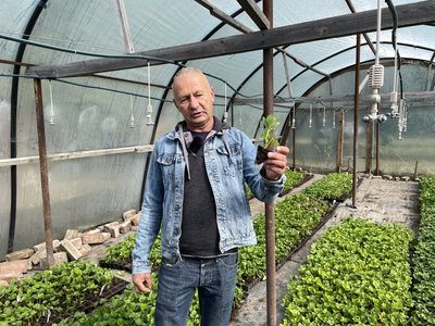 Вирощування лохини та суниці на Полтавщині: чи вигідний бізнес Вирощування лохини та суниці на Полтавщині: чи вигідний бізнес