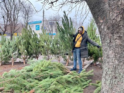 Від 200 гривень до 40 тисяч: у Черкасах стартував ялинковий ярмарок Від 200 гривень до 40 тисяч: у Черкасах стартував ялинковий ярмарок