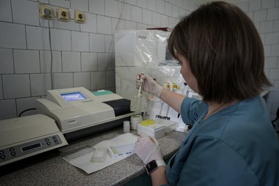 Хантавірус: чому на Сумщині найбільше випадків зараження та чи є загроза пандемії