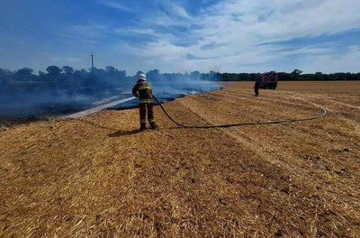 Протягом доби на Миколаївщині надзвичайники ліквідували вогонь 37 разів