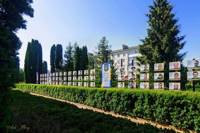 Алея Надії, Шумська громада, військові, полон