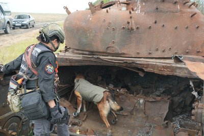 Повертають героїв додому. Як працюють пошукові групи ЗСУ на Херсонщині Повертають героїв додому. Як працюють пошукові групи ЗСУ на Херсонщині