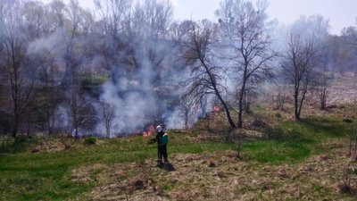 На Черкащині протягом 15 квітня згоріло понад сім гектарів сухостою та сміття