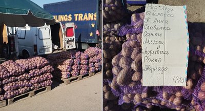У Кіровоградській області подешевшала картопля нового врожаю У Кіровоградській області подешевшала картопля нового врожаю