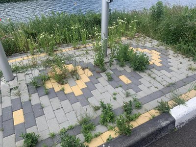 "Водна арена Тернопіль", червень 2024