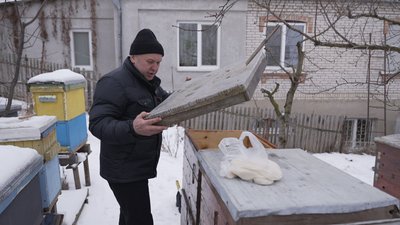 "Головне — врятувати від голоду": як вінницький пасічник допомагає бджолам перезимувати "Головне — врятувати від голоду": як вінницький пасічник допомагає бджолам перезимувати