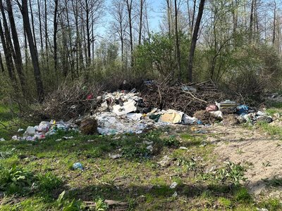 Упродовж місяця поблизу Житомира виявили сім стихійних сміттєзвалищ