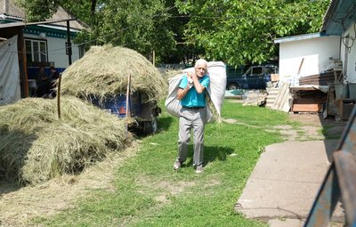 Молоко дешеве, а корм — дорогий: чому селяни на Черкащині не хочуть тримати корів