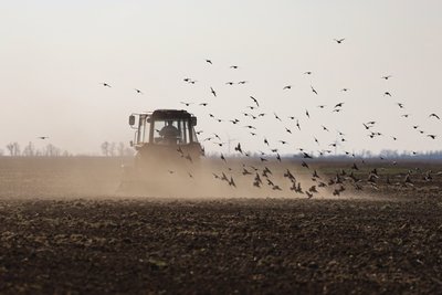 Херсонщина, посівна, поле, фермери, сільське господарство, аграрії Херсонщина, посівна, поле, фермери, сільське господарство, аграрії