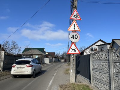 У Дніпрі з’явився незвичайний дорожній знак з чорною кішкою: хто та чому його встановив У Дніпрі з’явився незвичайний дорожній знак з чорною кішкою: хто та чому його встановив