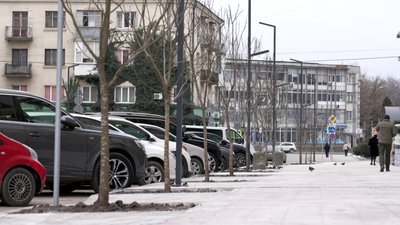 У Тернополі висадили катальпи, безбар’єрний маршрут, Тернопіль, 23 грудня 2025 року У Тернополі висадили катальпи, безбар’єрний маршрут, Тернопіль, 23 грудня 2025 року