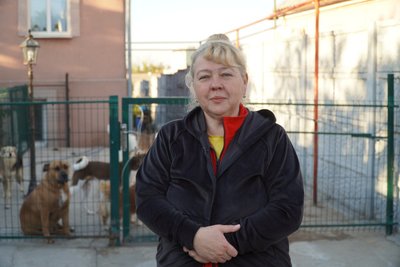 "Будка залишилася, навкруги все розбомблене". Історії тварин, врятованих із передової "Будка залишилася, навкруги все розбомблене". Історії тварин, врятованих із передової