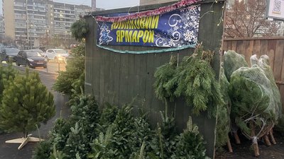У столиці запрацювали ялинкові ярмарки У столиці запрацювали ялинкові ярмарки