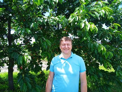 "Це не бізнес, а справа життя". Як розвивають ягідництво на Сумщині "Це не бізнес, а справа життя". Як розвивають ягідництво на Сумщині