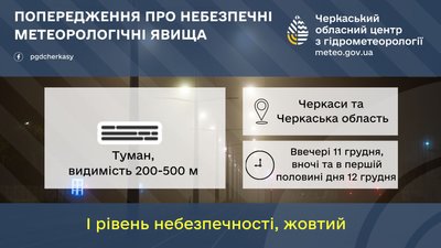 Туман упав