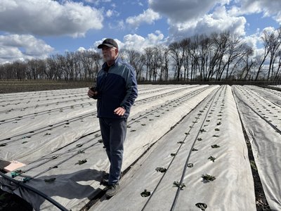 "Вирішили не чекати закінчення війни": на Полтавщині родина переселенців втретє відновлює бізнес "Вирішили не чекати закінчення війни": на Полтавщині родина переселенців втретє відновлює бізнес