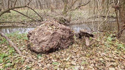 Водоспад Дівочі сльози, на Тернопільщині обвалилася скеля Водоспад Дівочі сльози, на Тернопільщині обвалилася скеля