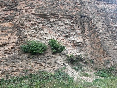 Фортечний мур Кармелітського монастиря в Бердичеві — під загрозою руйнування Фортечний мур Кармелітського монастиря в Бердичеві — під загрозою руйнування