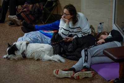 За три ночі повітряних атак у метро Києва укрились понад 49 тисяч людей За три ночі повітряних атак у метро Києва укрились понад 49 тисяч людей