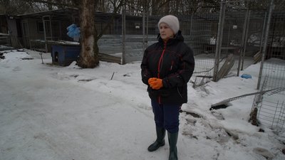 "Майже всі вольєри зламані": у кропивницькому притулку "БІМ" оголосили триденну толоку "Майже всі вольєри зламані": у кропивницькому притулку "БІМ" оголосили триденну толоку