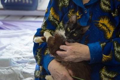 "Я і кіт Василь — уся родина". До Дніпра з Торецька евакуювали 78-річну жінку "Я і кіт Василь — уся родина". До Дніпра з Торецька евакуювали 78-річну жінку