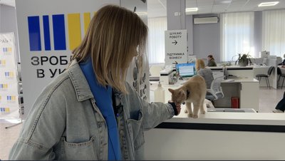"Позаштатний охоронець": як кіт Грант став частиною колективу Уманського центру зайнятості "Позаштатний охоронець": як кіт Грант став частиною колективу Уманського центру зайнятості