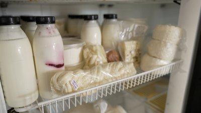Крафтова сироварня двох сестер у Лукашівці на Чернігівщині