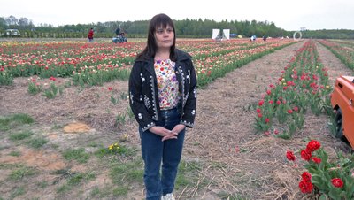 "Екзотичний імператор та принцеса Сіссі": на Волині стартував фестиваль тюльпанів "Екзотичний імператор та принцеса Сіссі": на Волині стартував фестиваль тюльпанів