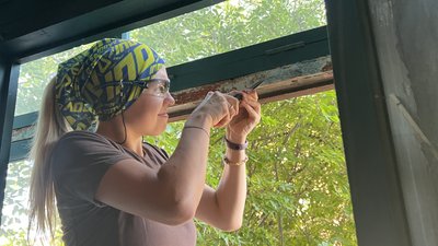 Анжела Бучковська допомагає з реставрацією вікон Анжела Бучковська допомагає з реставрацією вікон