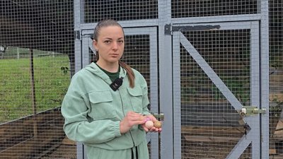 Відпочинок на Чернігівщині: у національному природному парку створили нову локацію