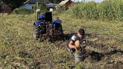 Фермер з Леб'яжого Олег Єрмаков збирає картоплю