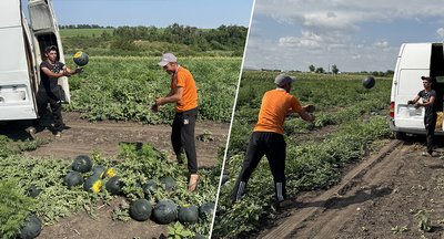 До 30 тонн з гектара: на Кіровоградщині збирають ультраранні кавуни До 30 тонн з гектара: на Кіровоградщині збирають ультраранні кавуни
