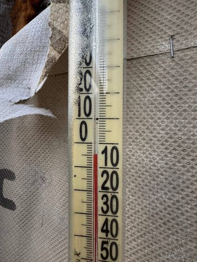 У громаді на Буковині уночі температура повітря опустила до -1°: чи нормально це для серпня У громаді на Буковині уночі температура повітря опустила до -1°: чи нормально це для серпня