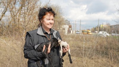 Не виїжджали через кіз: на Сумщині волонтери евакуювали з прикордоння подружжя з майже чотирма десятками тварин Не виїжджали через кіз: на Сумщині волонтери евакуювали з прикордоння подружжя з майже чотирма десятками тварин